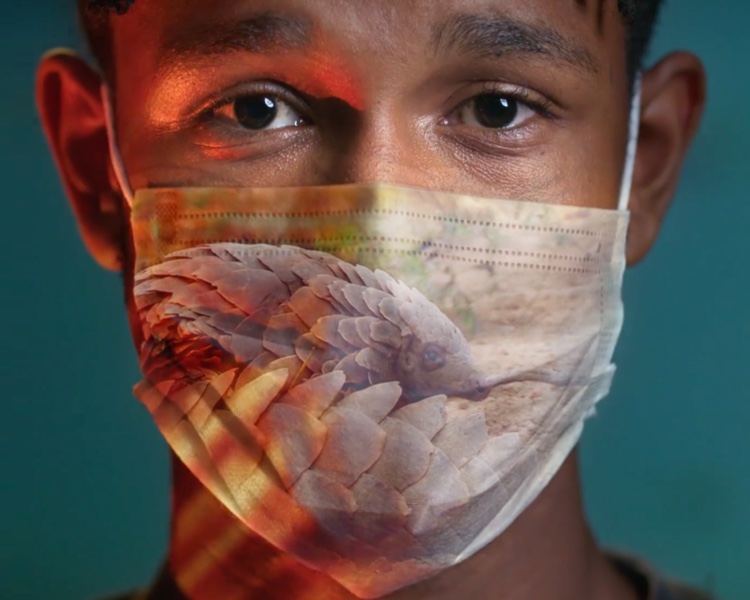Man with a surgical mask that has the image of a pangolin on it